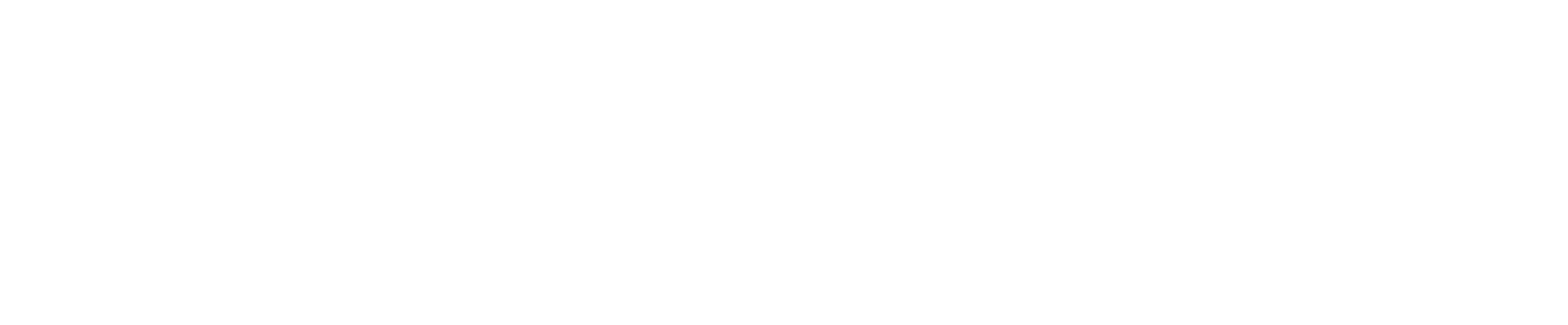 Xolution Services
